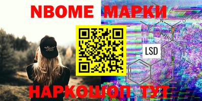 гидропоника Будённовск