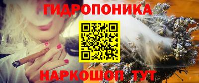 гидропоника Будённовск