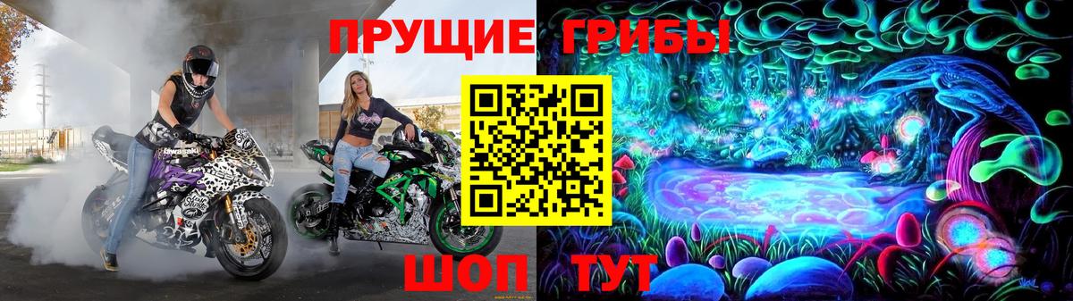Псилоцибиновые грибы Psilocybine cubensis Темрюк
