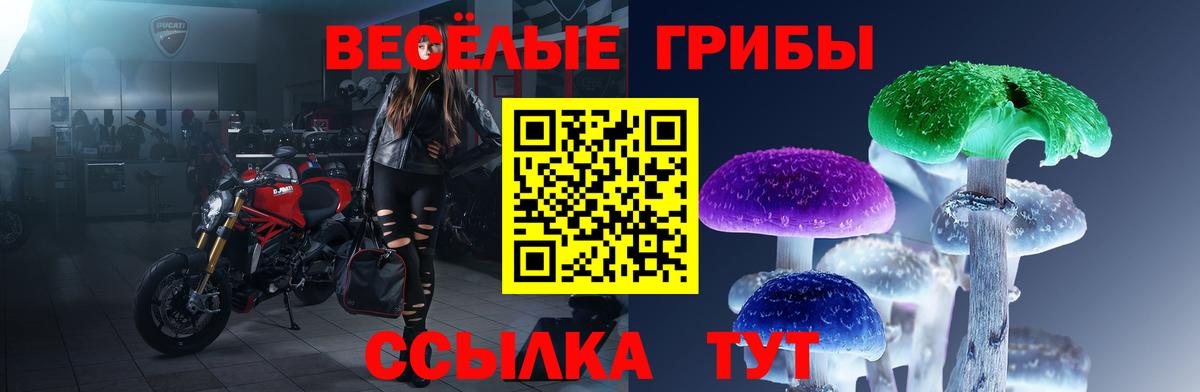 Псилоцибиновые грибы Cubensis  Псилоцибиновые грибы Magic Shrooms  Вход с VPN  Темрюк 